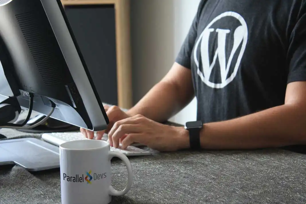 We provide Wordpress Development services